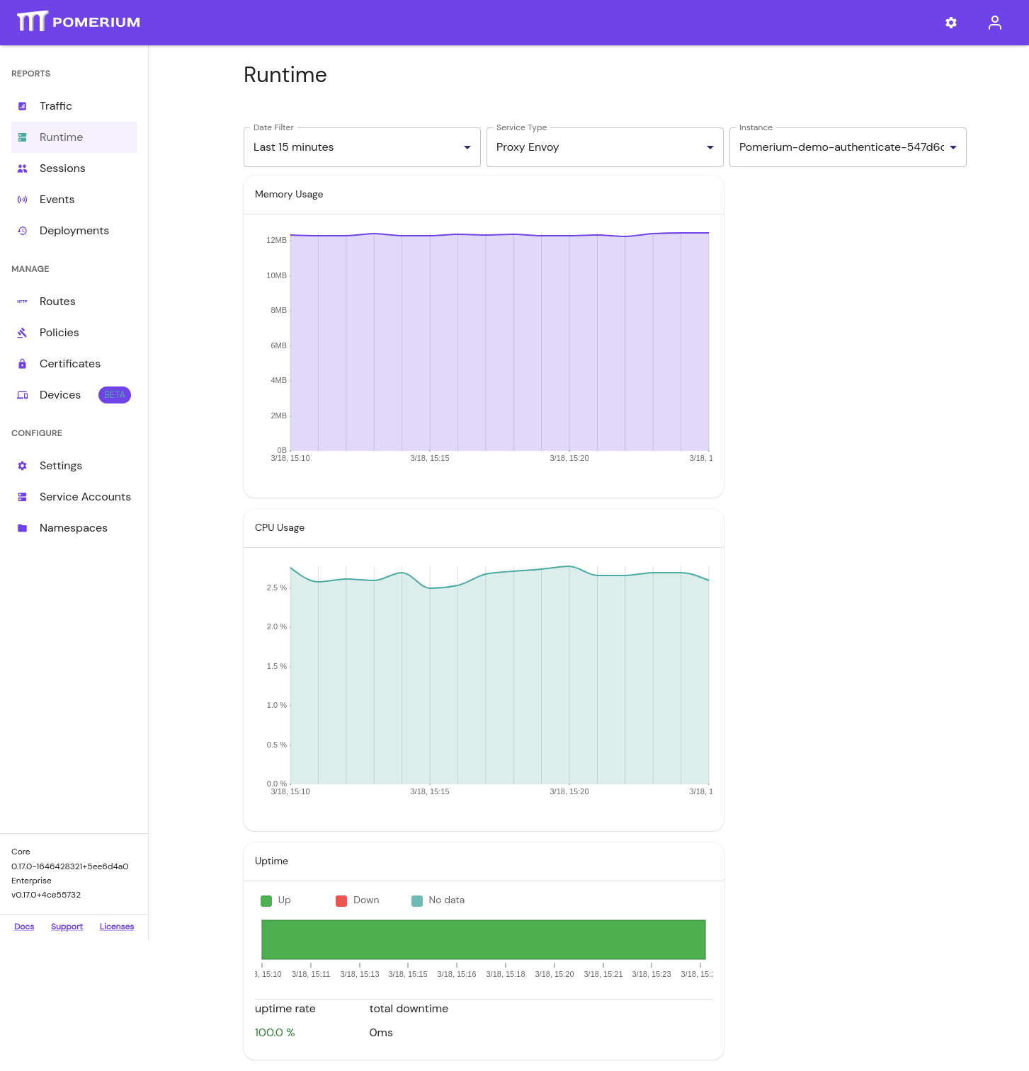 The Runtime Info page in Pomerium Enterprise